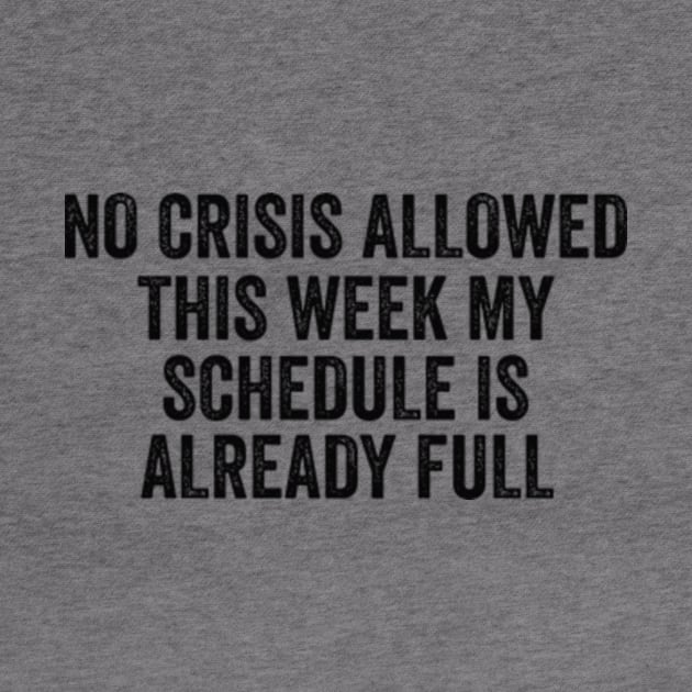 Funny Work Shirt, No Crisis Allowed This Week, sarcastic work Shirt, Shirt for coworker, work friend gift by Y2KERA